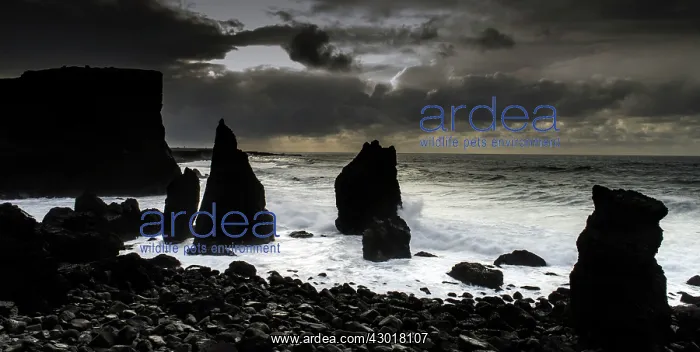  : Reykjanesviti beach under dark sky