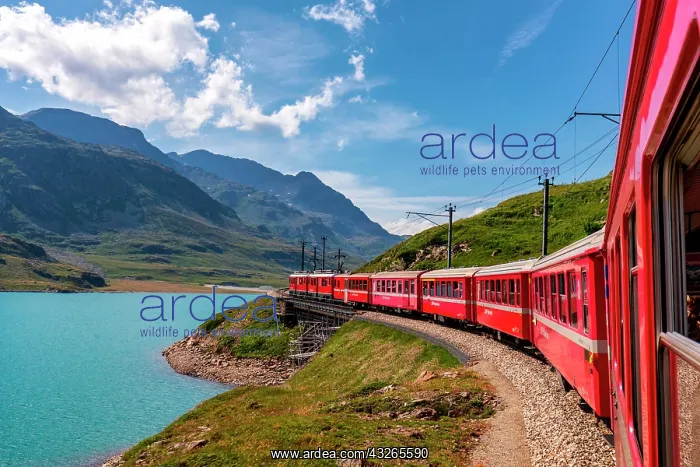 : Rhaetian Railway, Bernina Express at Lago Bianco : Rhaetian Railway, Bernina Express at Lago Bianco