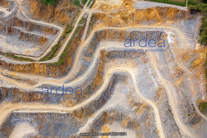 : Rheinkalk GmbH, quarry, Brilon, Sauerland, Hochsauerlandkrei : Rheinkalk GmbH, quarry, Brilon, Sauerland, Hochsauerlandkrei
