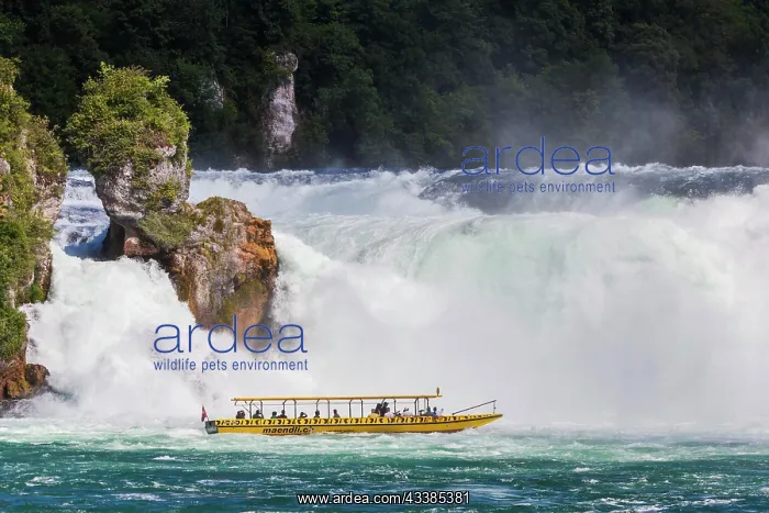 : Rhine Falls near Schaffhausen, waterfall with excursion boat : Rhine Falls near Schaffhausen, waterfall with excursion boat