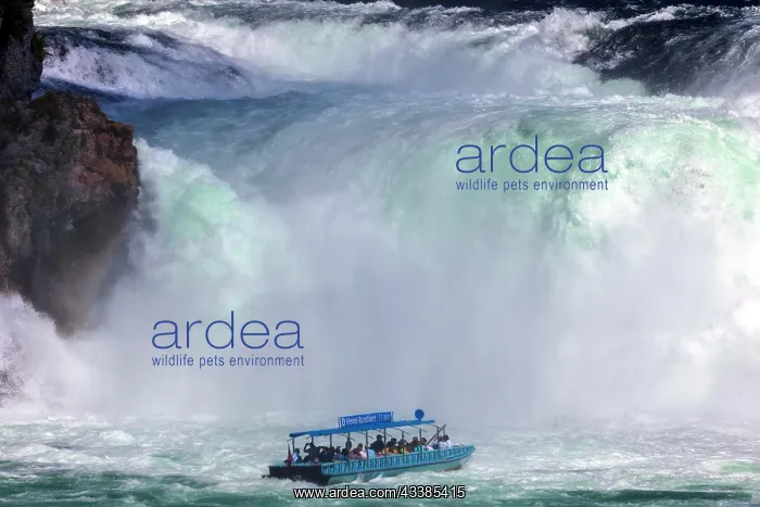  : Rhine Falls near Schaffhausen, waterfall with excursion boat