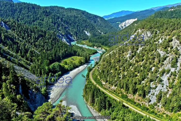 : Rhine, Rhine gorge with Anterior Rhine between Reichenau : Rhine, Rhine gorge with Anterior Rhine between Reichenau