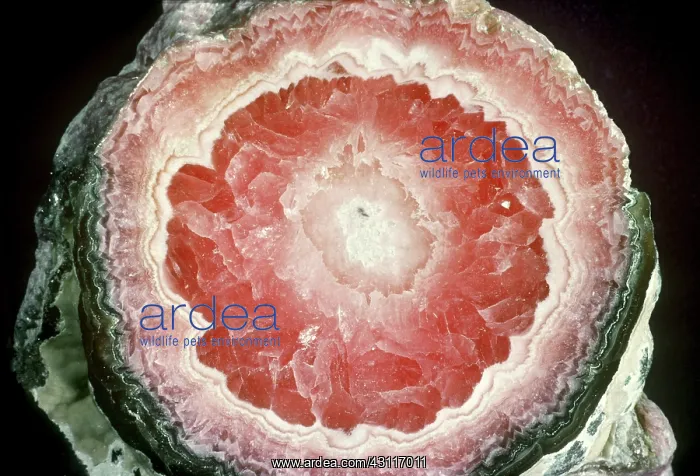 : Rhodochrosite : Rhodochrosite