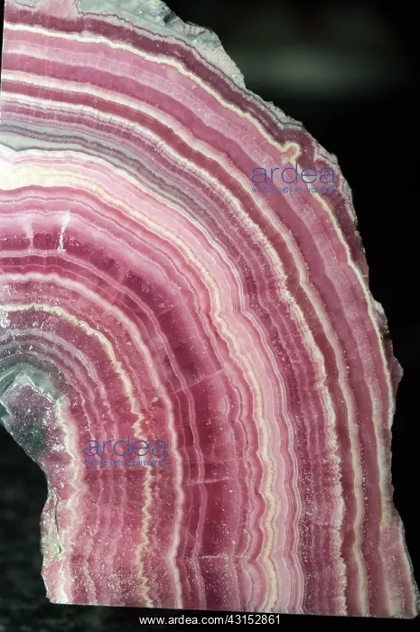 : Rhodochrosite : Rhodochrosite