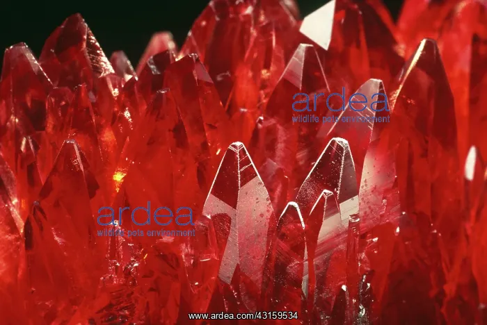 : Rhodochrosite : Rhodochrosite