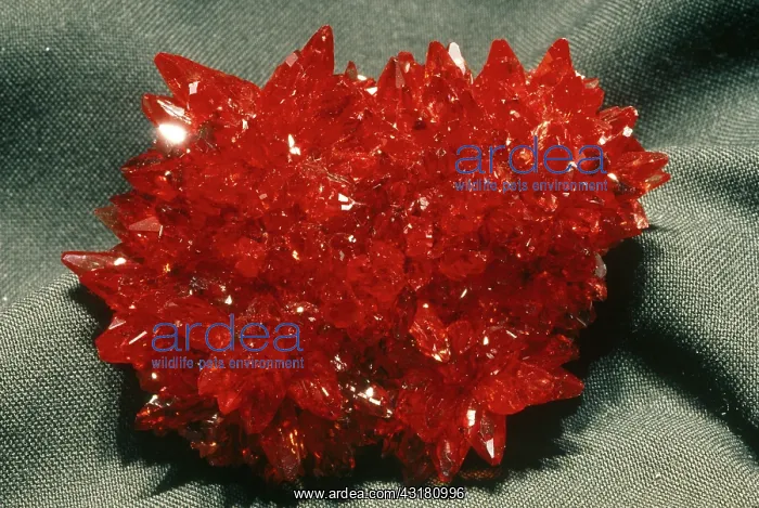 : Rhodochrosite : Rhodochrosite