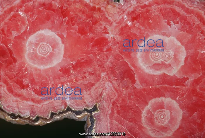 : RHODOCHROSITE - an ore of Manganese. Mn Co3 : RHODOCHROSITE - an ore of Manganese. Mn Co3
