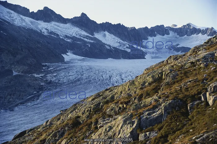  : Rhone Glacier