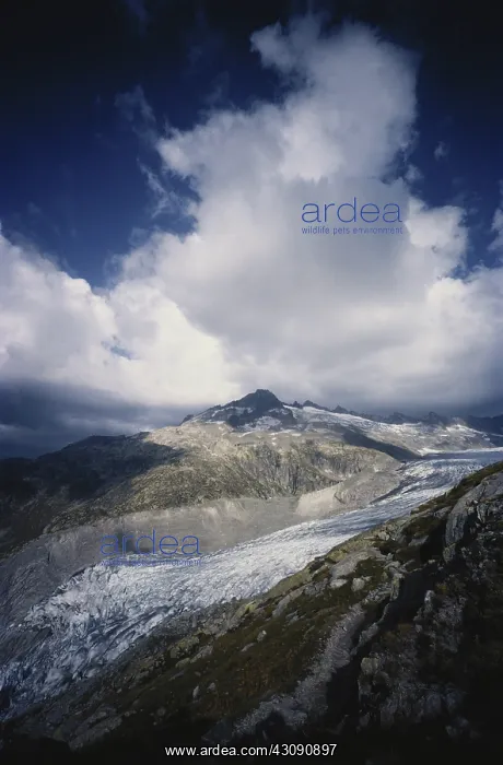 : Rhone Glacier : Rhone Glacier