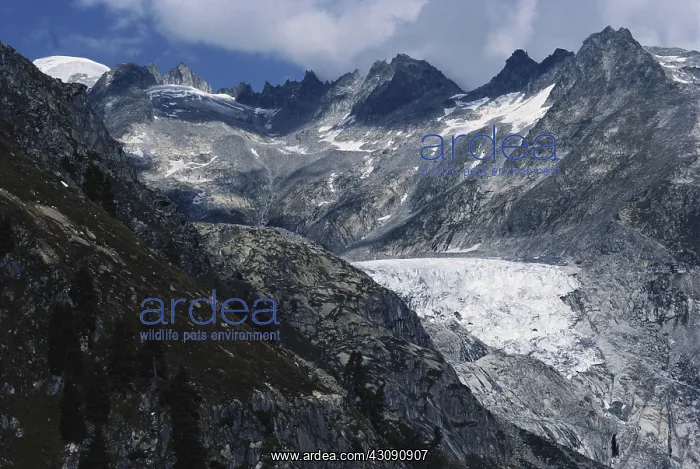 : Rhone Glacier : Rhone Glacier