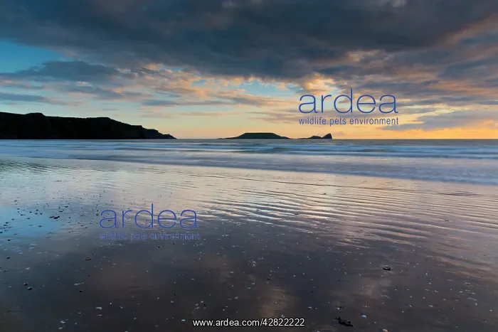 : Rhossili - beach at sunset : Rhossili - beach at sunset
