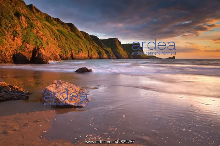: Rhossili - beach at sunset : Rhossili - beach at sunset
