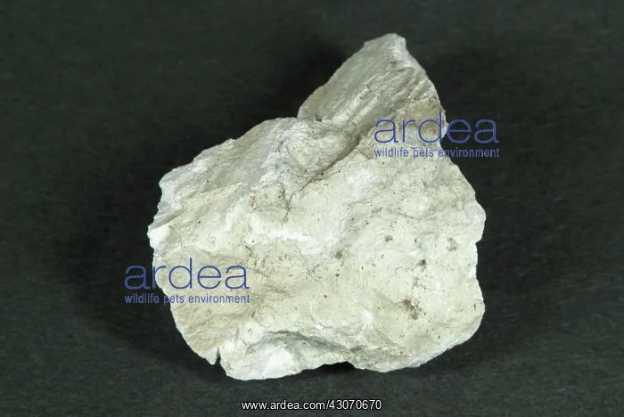 : Rhyolite. Hand sample of Rhyolite, a volcanic : Rhyolite. Hand sample of Rhyolite, a volcanic