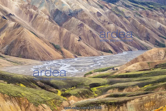 : Rhyolite mountains in Landmannalaugar : Rhyolite mountains in Landmannalaugar