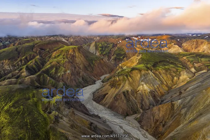 : Rhyolite mountains in Landmannalaugar : Rhyolite mountains in Landmannalaugar