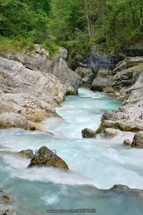 : Ri&, x7e2;ach, Hinterriss, Tyrol, Austria, Europe : Ri&, x7e2;ach, Hinterriss, Tyrol, Austria, Europe