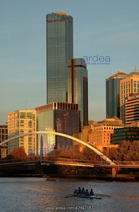 : The Rialto Tower and the Yarra River from Southbank : The Rialto Tower and the Yarra River from Southbank