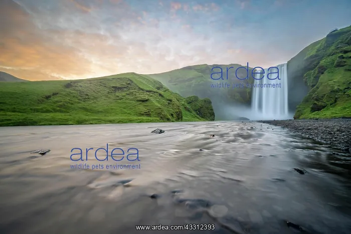 : ric, atmospheric light, attraction, Blurred Motion, cascade, dese : ric, atmospheric light, attraction, Blurred Motion, cascade, dese