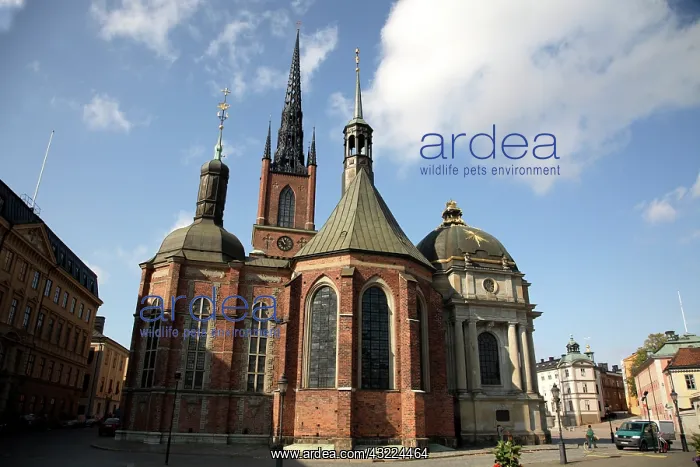 : Riddarholmskyrkan (Riddarholmen Church) : Riddarholmskyrkan (Riddarholmen Church)