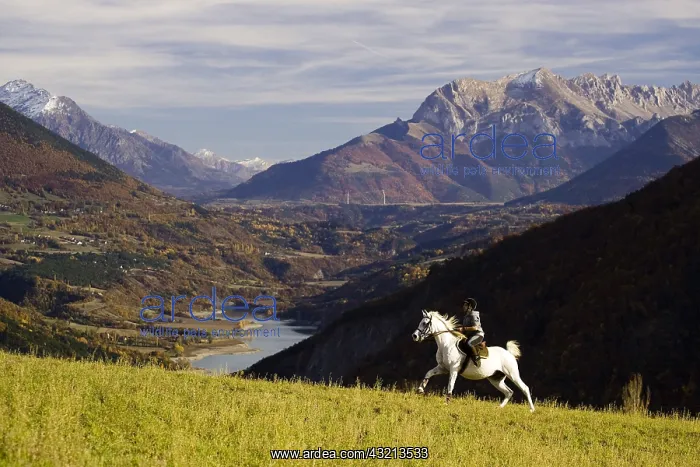 : Rider on horseback Arabian galloping Plateau Mathesin France : Rider on horseback Arabian galloping Plateau Mathesin France