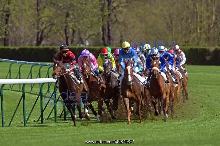 : Riders and Racehorses galloping around racecourse : Riders and Racehorses galloping around racecourse