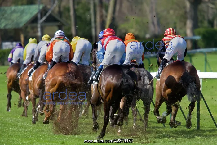 : Riders and Racehorses galloping around racecourse : Riders and Racehorses galloping around racecourse