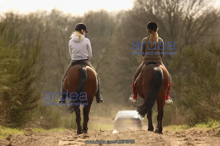 : Riders on a sandy way at spring Netherland : Riders on a sandy way at spring Netherland