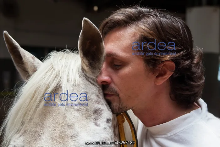: Riding instructor whispering in the ear of a horse : Riding instructor whispering in the ear of a horse