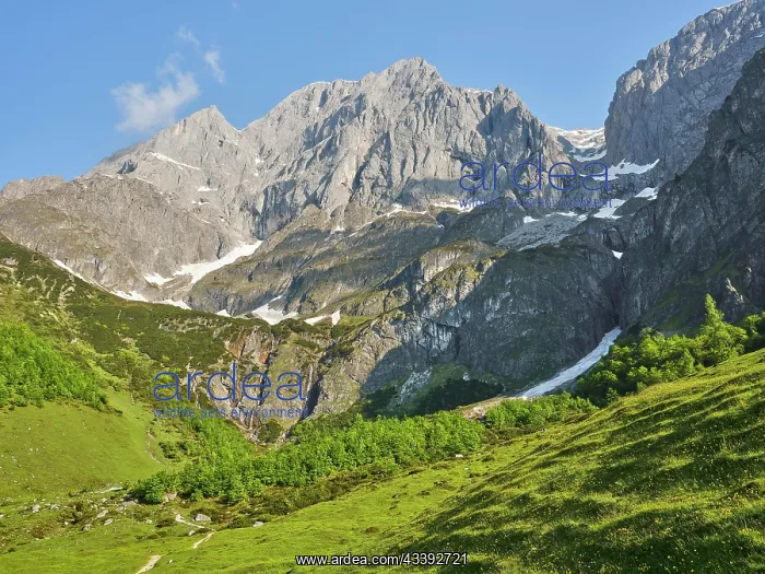 : Riedingtal with Hochknnig, Riedingalm, Mahlbach : Riedingtal with Hochknnig, Riedingalm, Mahlbach