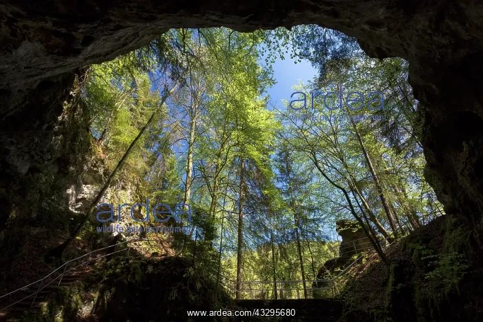 : Riesenburg Cave in the valley of the Wiesent, Doos : Riesenburg Cave in the valley of the Wiesent, Doos