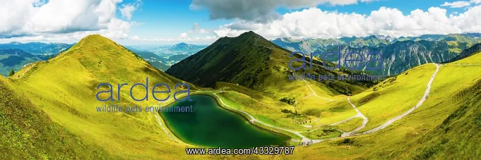 : Riezler Alpsee, an artificial lake, snow pond, f : Riezler Alpsee, an artificial lake, snow pond, f