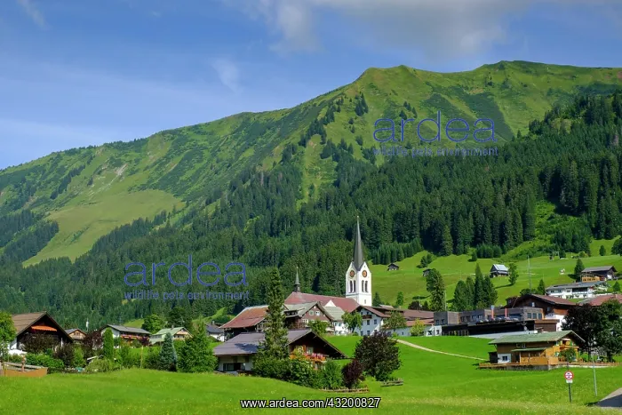 : Riezlern, Kleinwalsertal, Allg&, x4d6c; Vorarlberg : Riezlern, Kleinwalsertal, Allg&, x4d6c; Vorarlberg