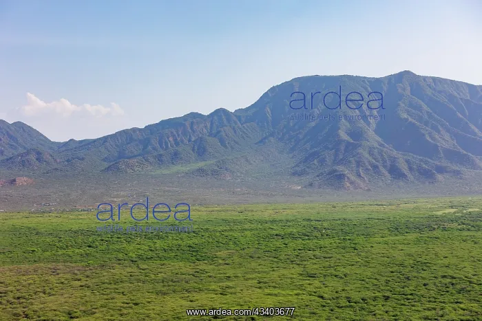 : Rift valley at Lake Magadi in Kenya : Rift valley at Lake Magadi in Kenya