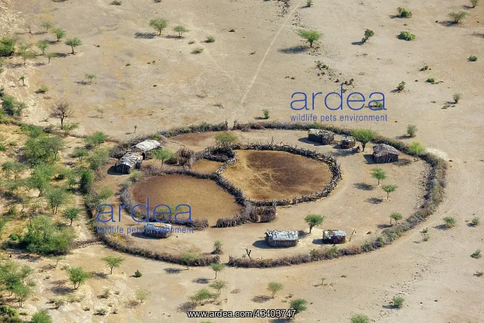 : Rift valley at Lake Magadi in Kenya : Rift valley at Lake Magadi in Kenya