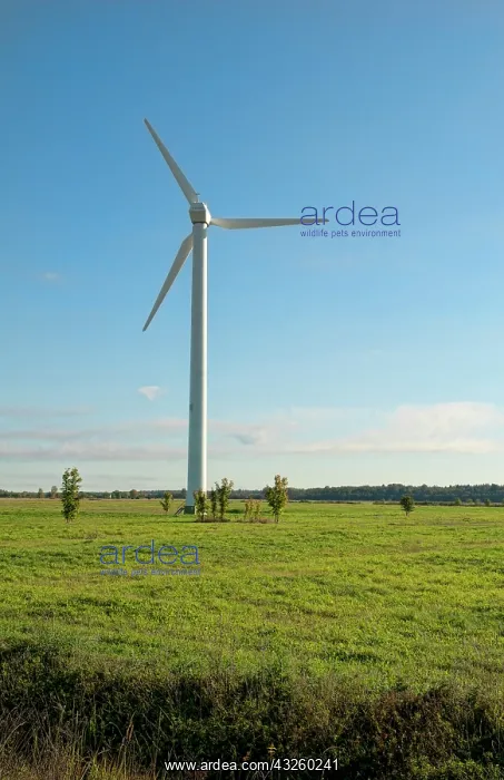 : Riga, Latvia. Wind farm supplying green : Riga, Latvia. Wind farm supplying green