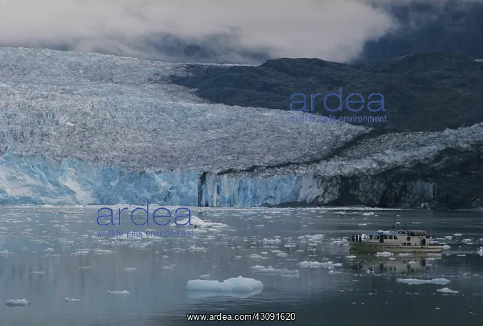 : Riggs Glacier : Riggs Glacier