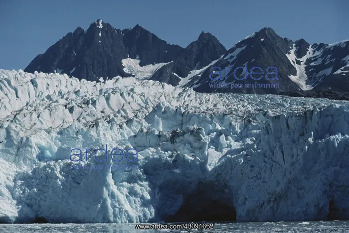 : Riggs Glacier : Riggs Glacier