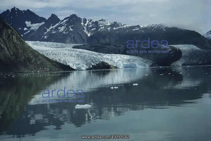  : Riggs Glacier