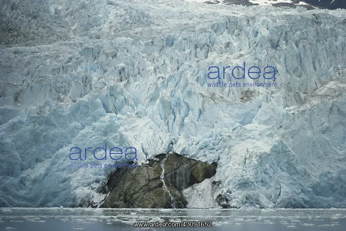 : Riggs Glacier : Riggs Glacier