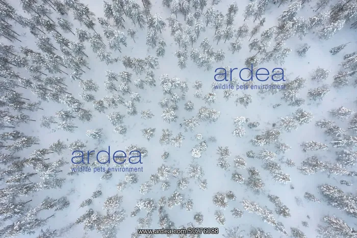 : Riisitunturi aerial : Riisitunturi aerial