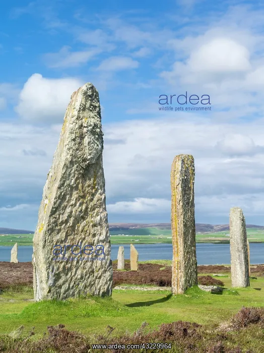 : Ring of Brodgar, a UNESCO World Heritage : Ring of Brodgar, a UNESCO World Heritage
