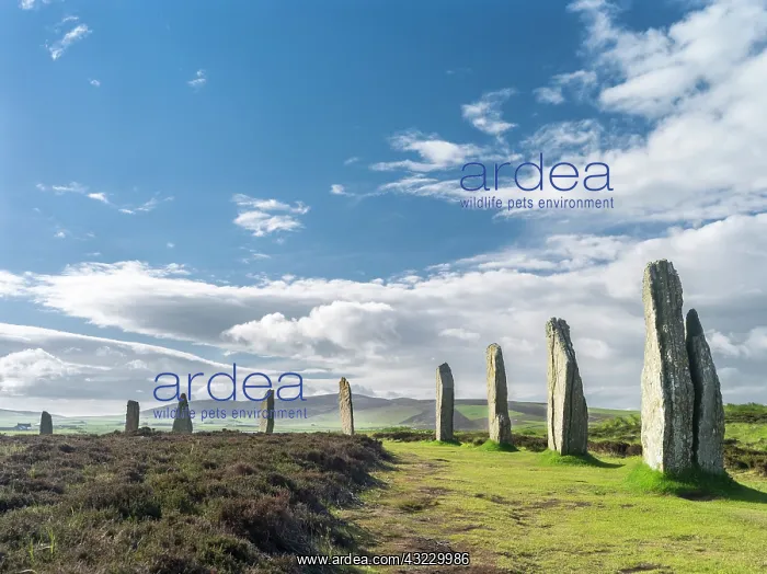 : Ring of Brodgar, a UNESCO World Heritage : Ring of Brodgar, a UNESCO World Heritage