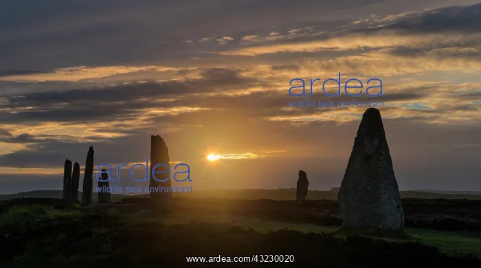 : Ring of Brodgar, a UNESCO World Heritage : Ring of Brodgar, a UNESCO World Heritage