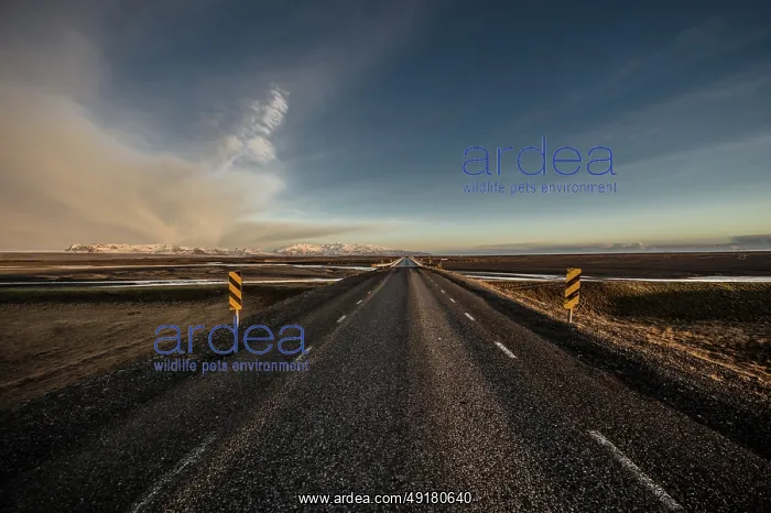 : Ring Road, Glacier Vatnajokull : Ring Road, Glacier Vatnajokull