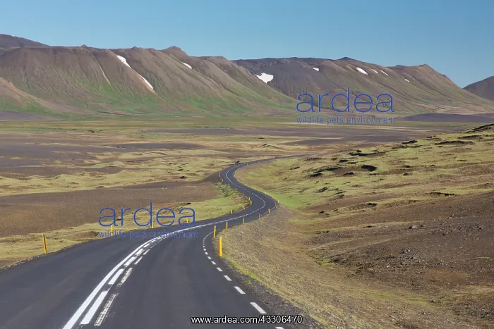 : The ring road in a lonely landscape - Austurland : The ring road in a lonely landscape - Austurland