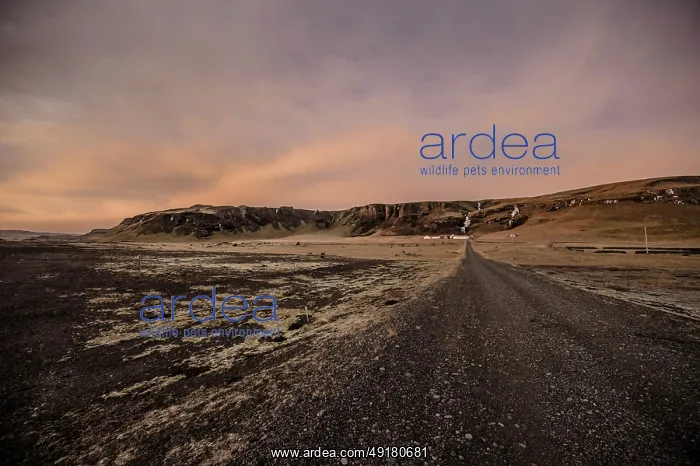: Ring Road, Mountains, Southern Iceland : Ring Road, Mountains, Southern Iceland