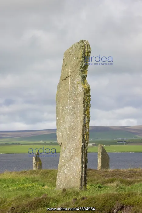 : Ring von Brodgar : Ring von Brodgar