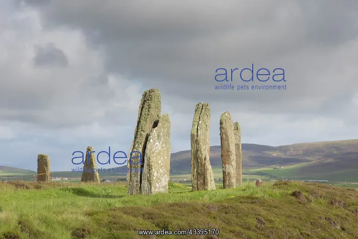: Ring von Brodgar : Ring von Brodgar
