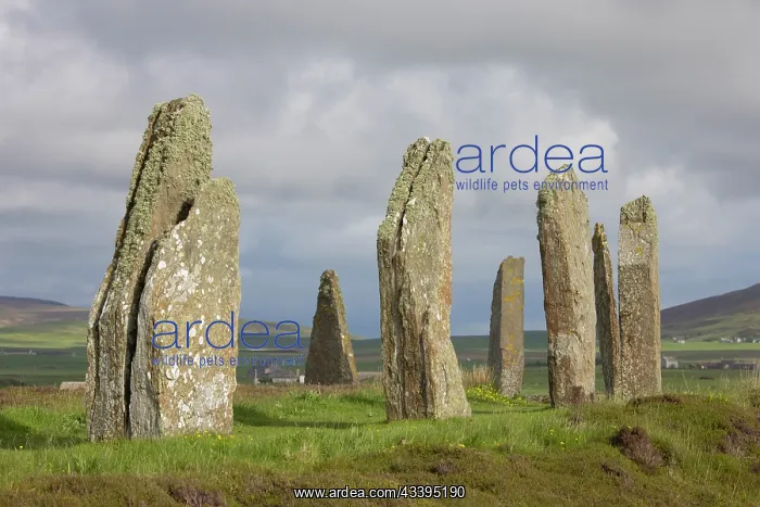 : Ring von Brodgar : Ring von Brodgar