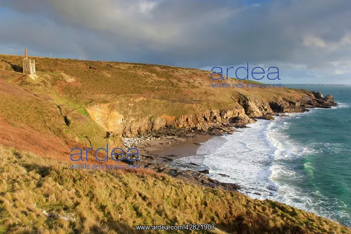 : Rinsey - Engine House : Rinsey - Engine House